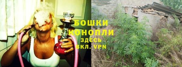 трава Аркадак
